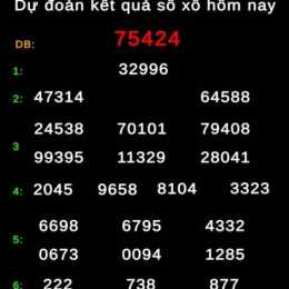 dự đoán kết quả xổ số 247
