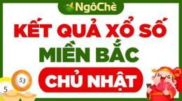 hướng dẫn sử dụng coi xổ số bữa chủ nhật
