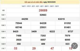 hướng dẫn sử dụng kết quả xổ số đặc biệt miền bắc ngày hôm nay