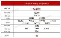 hướng dẫn sử dụng kết quả xổ số đồng nai 200 ngày