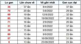 hướng dẫn sử dụng kết quả xổ số gia lai ngày 29 tháng 5