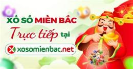 hướng dẫn sử dụng ket qua xo so mien bac thu 3 hang tuan
