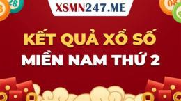 hướng dẫn sử dụng ket qua xo so mien nam thu 2 hang tuan