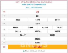 hướng dẫn sử dụng kết quả xổ số vung tau