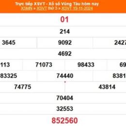 kết quả xổ số vũng tàu ngày 11 tháng 8