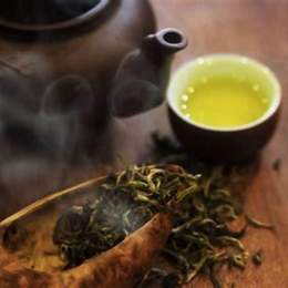 sổ xô miên nam trà vinh
