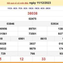 soi cầu xổ số bạch kim