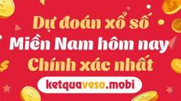 tính năng nổi bật dự đoán xổ số minh ngọc ba miền